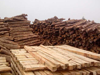 松木木方 松木木方