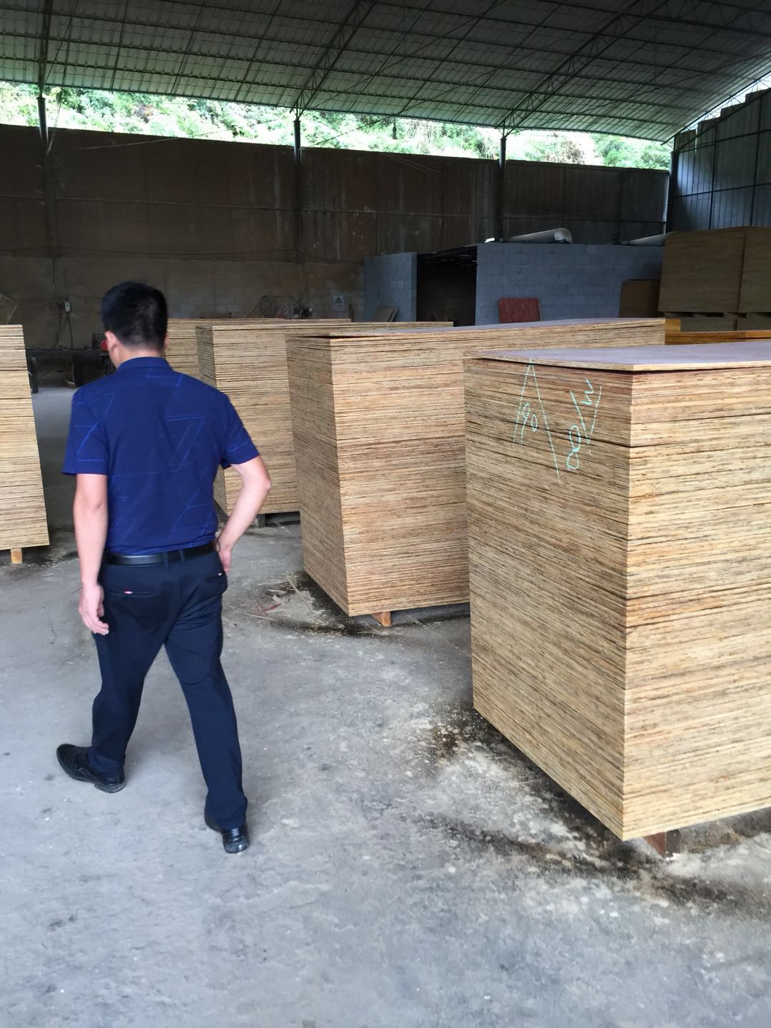 金生水建材陸總視察建筑模板產品